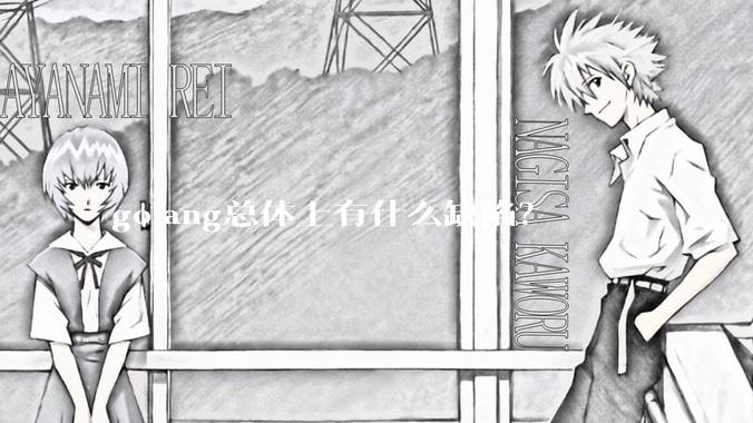 golang总体上有什么缺陷？