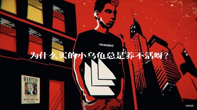 为什么买的小乌龟总是养不活呀？