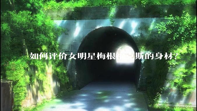 如何评价女明星梅根福克斯的身材？