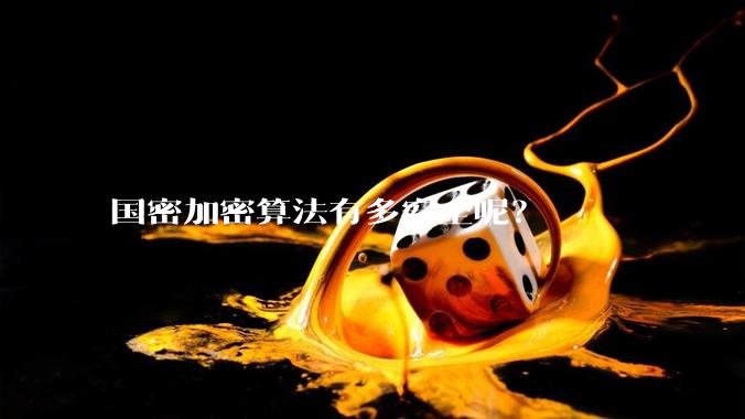 国密加密算法有多安全呢？