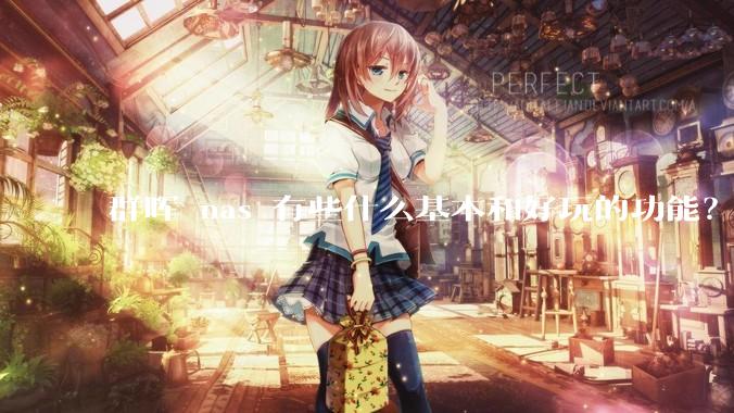 群晖 nas 有些什么基本和好玩的功能？